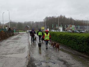 sized 1024 Lentewandeling 2015 051